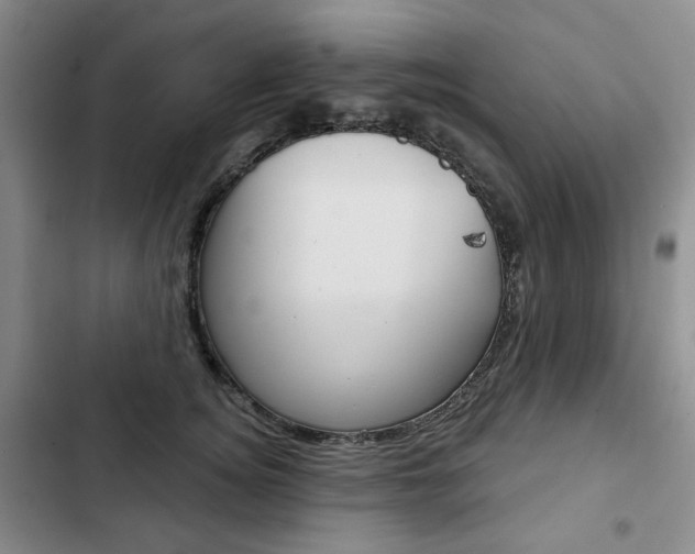X0000103150756200808221129