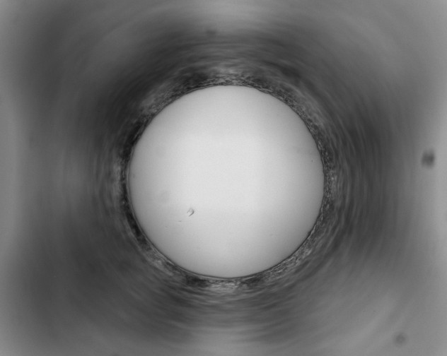 X0000103150757200808221129