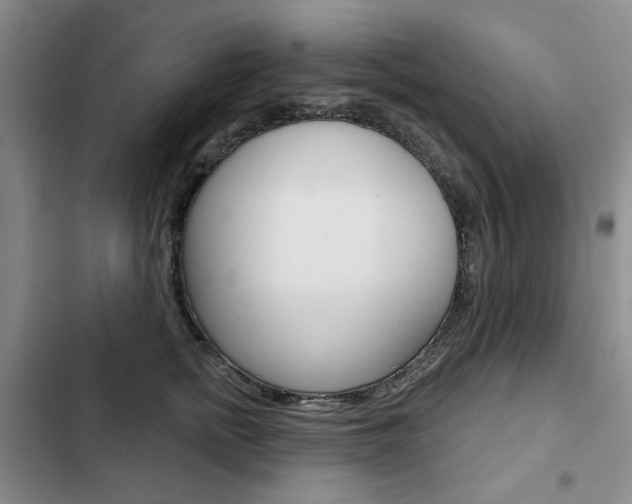 X0000103150758200808221129