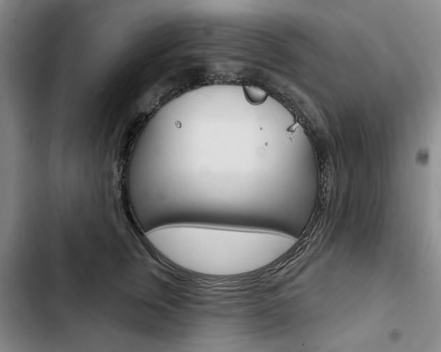 X0000103150759200808221129