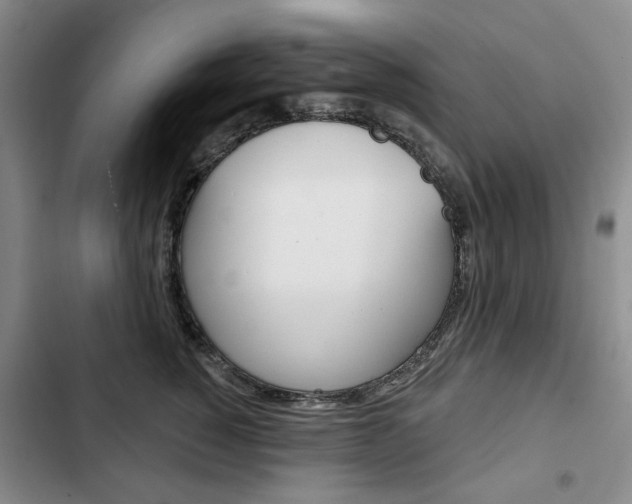 X0000103150760200808221129