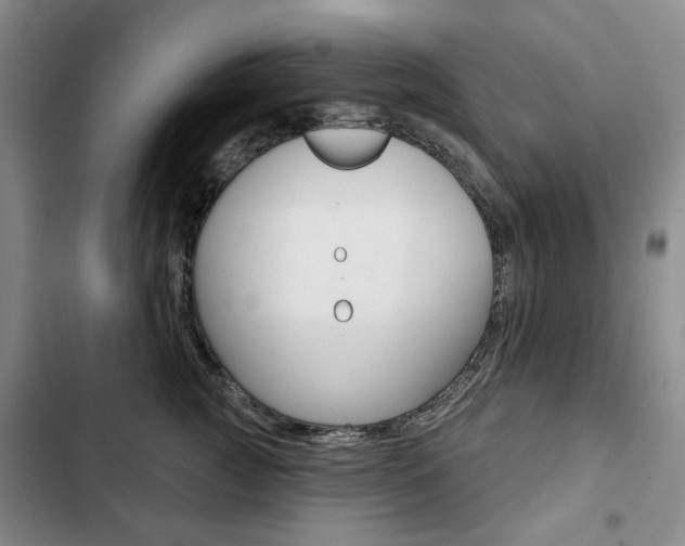 X0000103150761200808221129