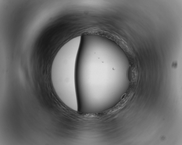 X0000103150762200808221129
