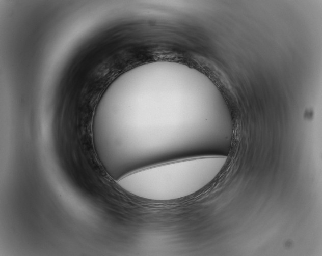 X0000103150763200808221129