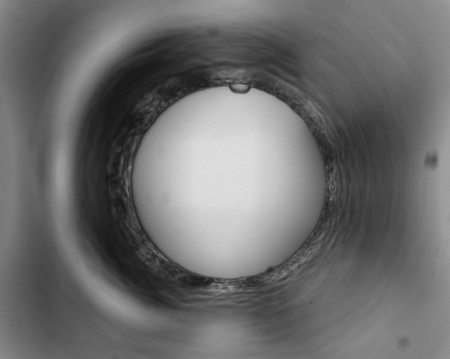 X0000103150764200808221129