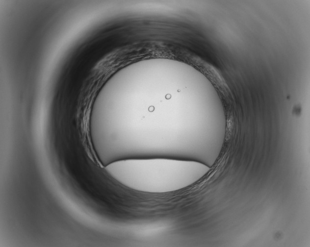 X0000103150765200808221129