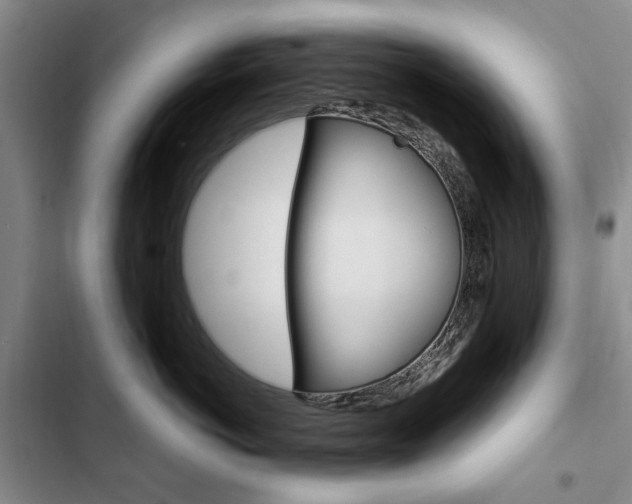 X0000103150766200808221129