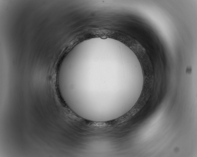 X0000103150767200808221129