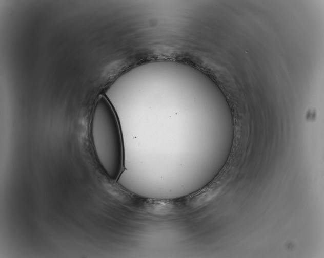 X0000103150768200808221129
