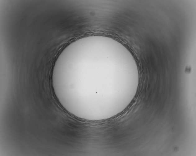 X0000103150769200808221128