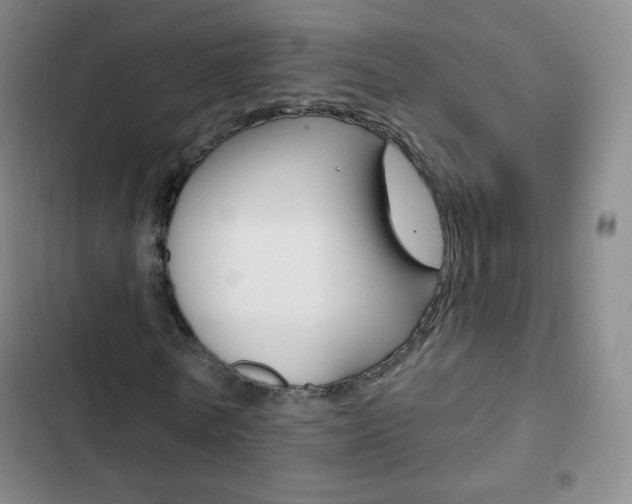 X0000103150770200808221128