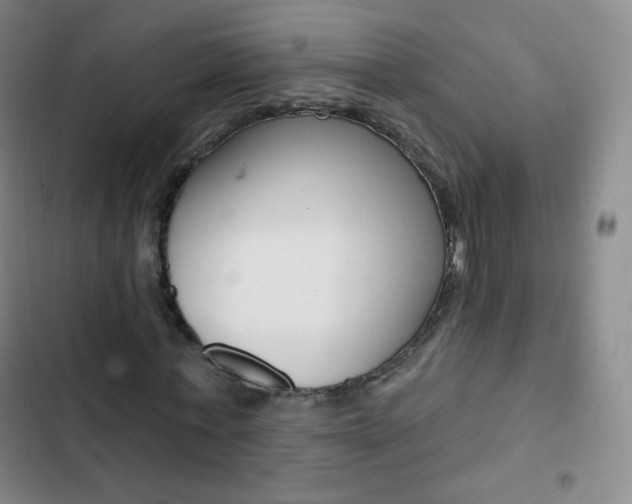 X0000103150771200808221128