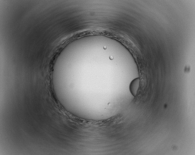 X0000103150773200808221128