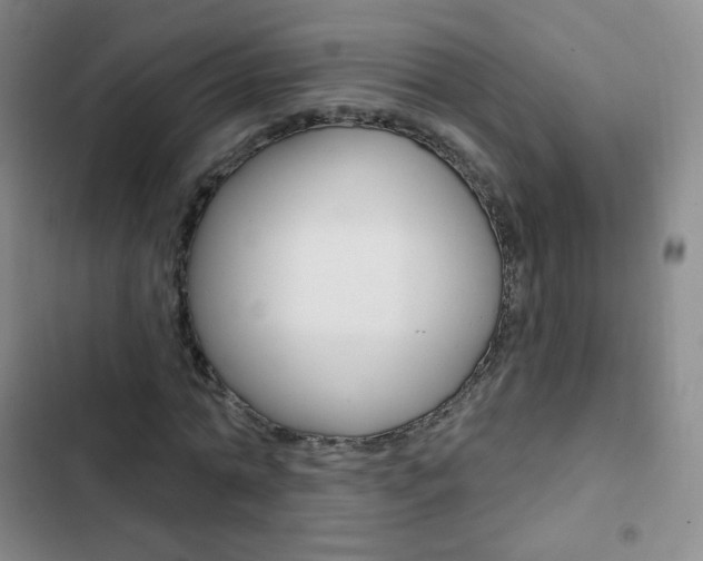 X0000103150774200808221128