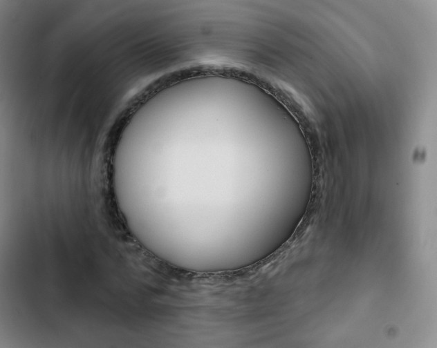 X0000103150776200808221128