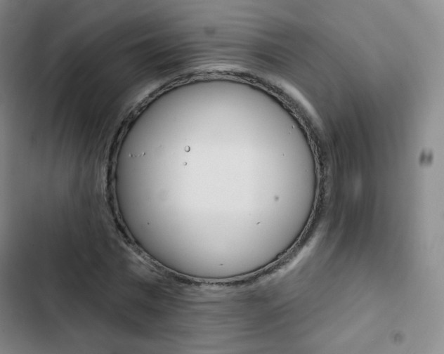 X0000103150777200808221128