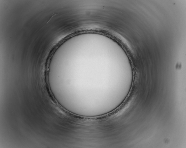 X0000103150778200808221128