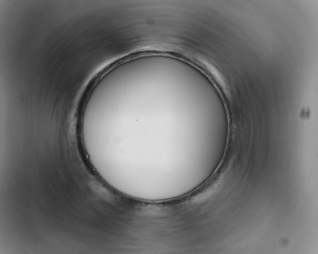 X0000103150779200808221128