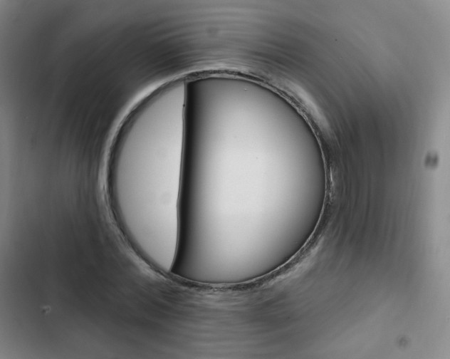 X0000103150780200808221128