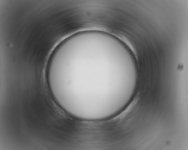 X0000103150781200808221128