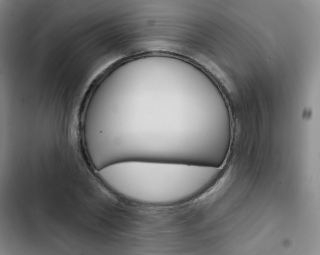 X0000103150782200808221128