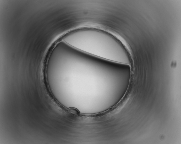 X0000103150783200808221128