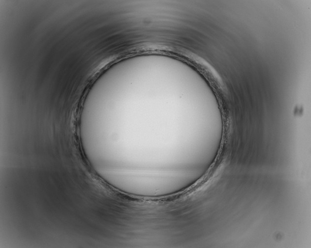 X0000103150785200808221128
