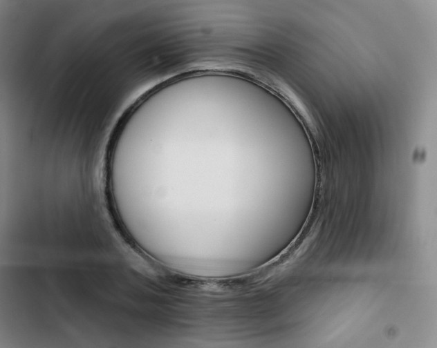 X0000103150787200808221128