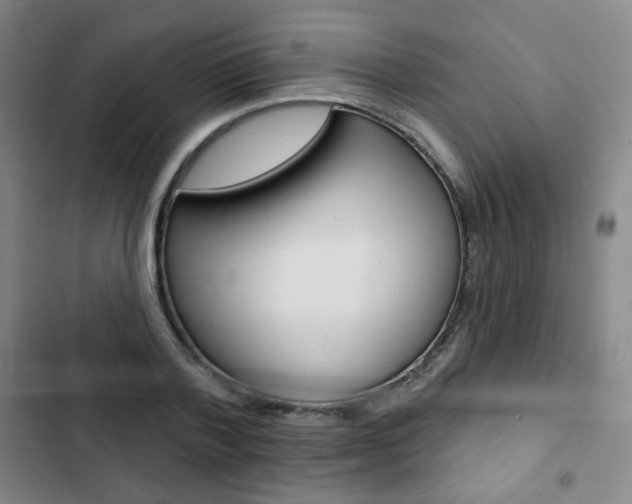 X0000103150788200808221128