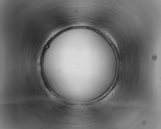 X0000103150789200808221128
