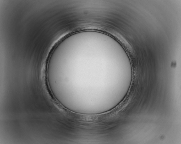 X0000103150790200808221128