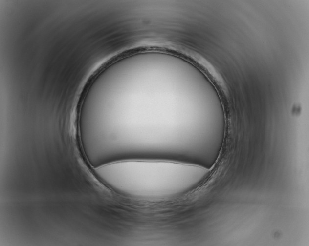 X0000103150791200808221128