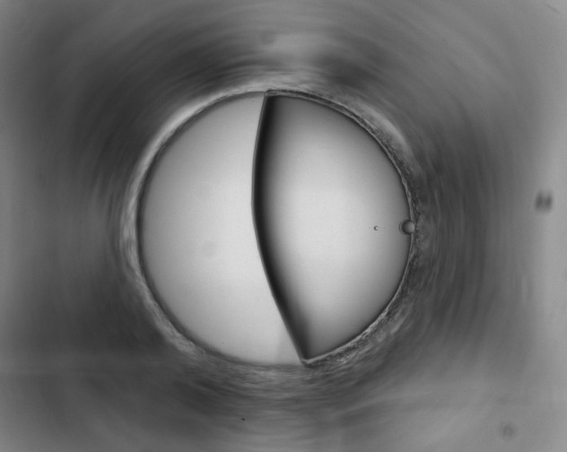 X0000103150792200808221128