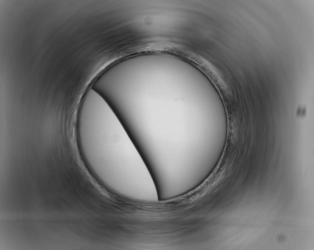 X0000103150794200808221127