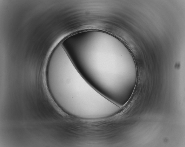 X0000103150796200808221127