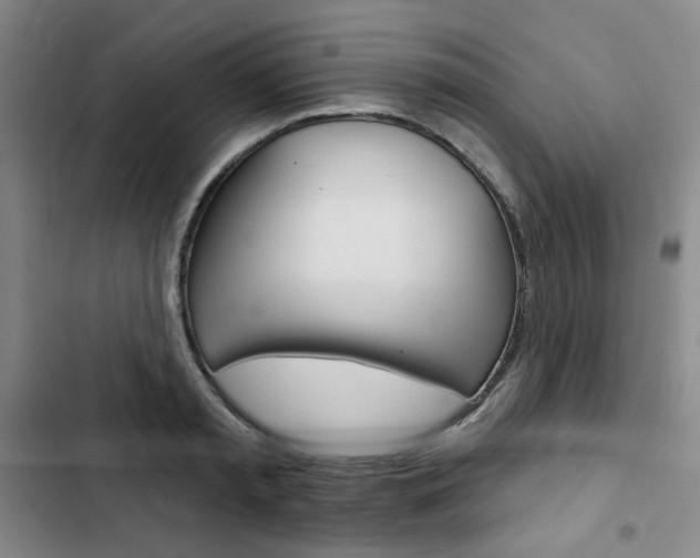 X0000103150797200808221127