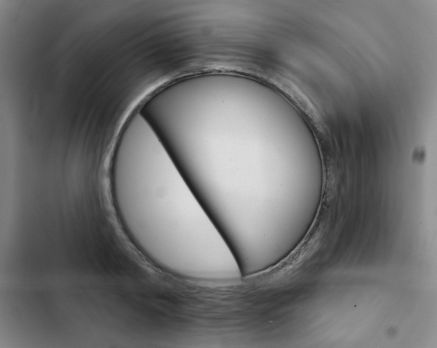 X0000103150798200808221127