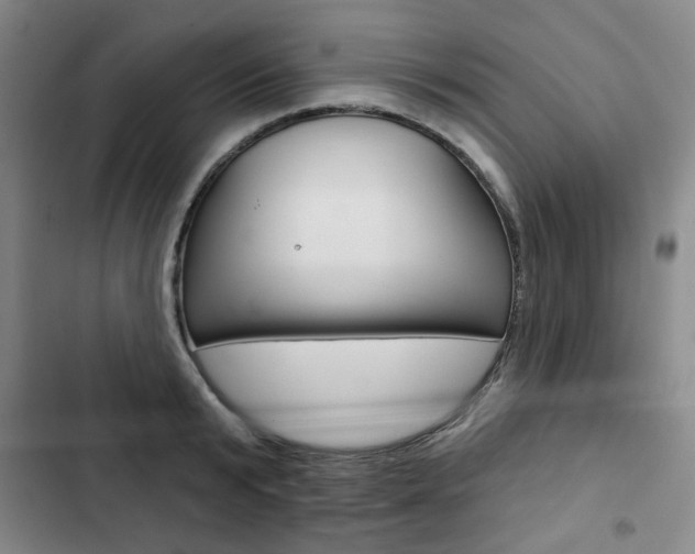 X0000103150799200808221127