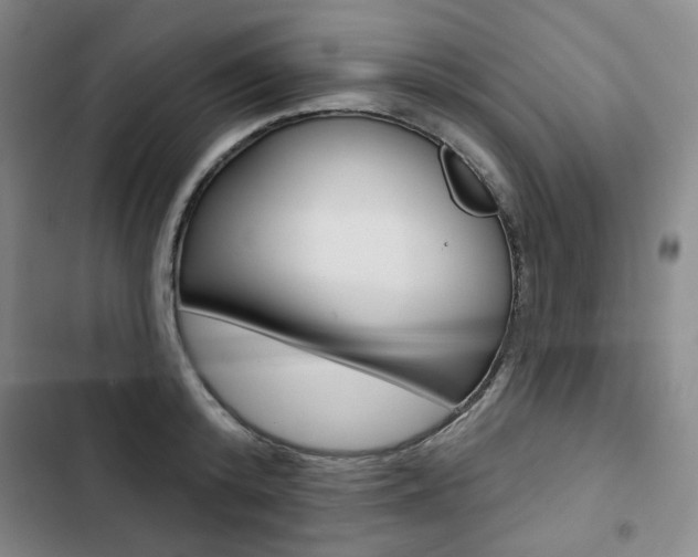 X0000103150800200808221127
