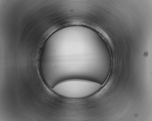 X0000103150801200808221127