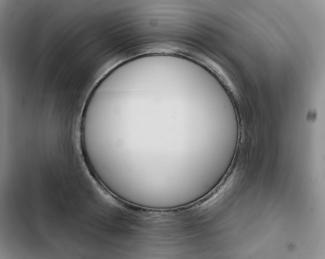 X0000103150802200808221127