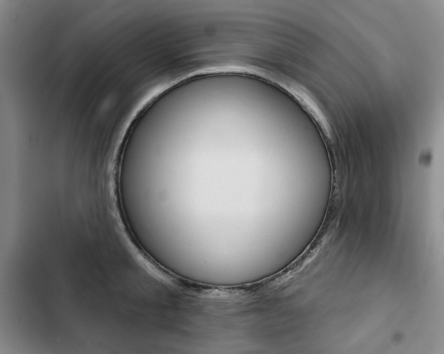X0000103150805200808221127