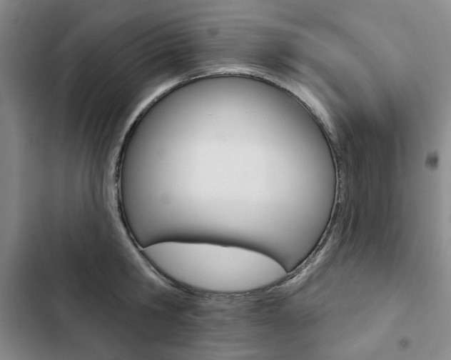 X0000103150806200808221127