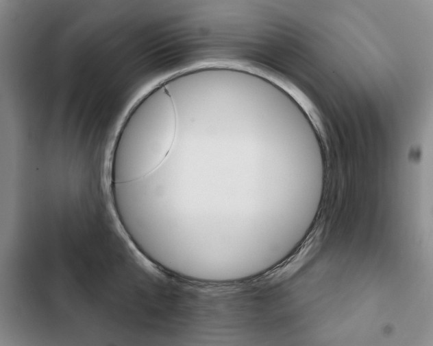 X0000103150807200808221127