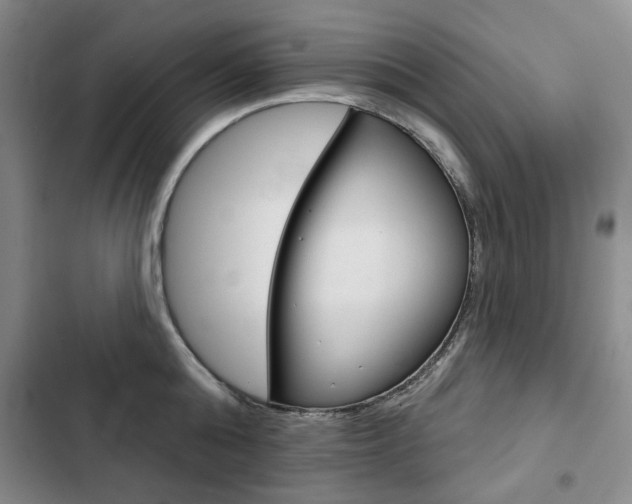 X0000103150808200808221127