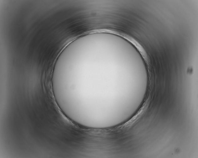 X0000103150809200808221127