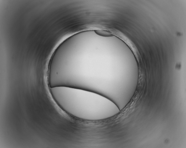 X0000103150811200808221127