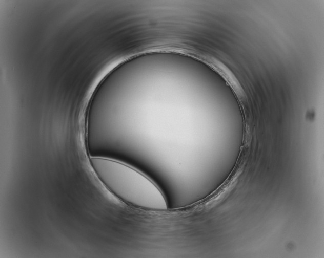 X0000103150812200808221127