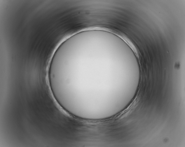 X0000103150813200808221127