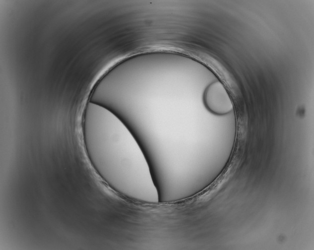 X0000103150814200808221127